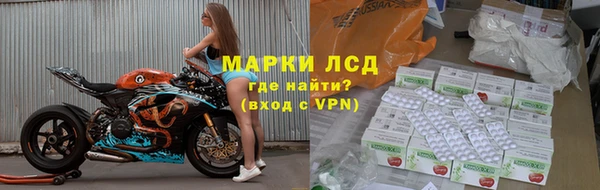шишки Арсеньев