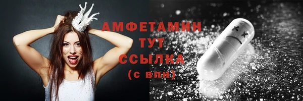 шишки Арсеньев