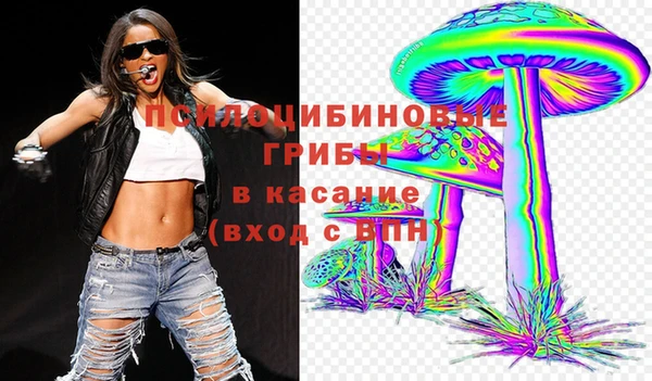 шишки Арсеньев