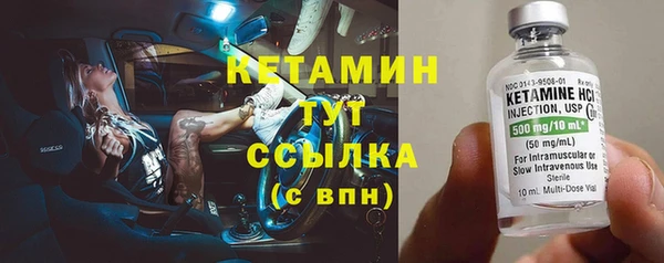 шишки Арсеньев