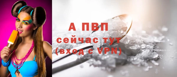 шишки Арсеньев