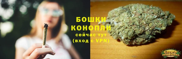шишки Арсеньев
