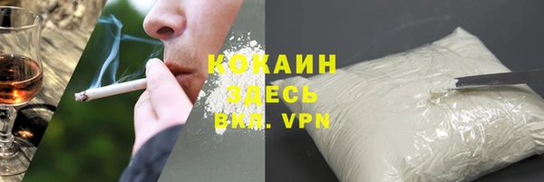 шишки Арсеньев