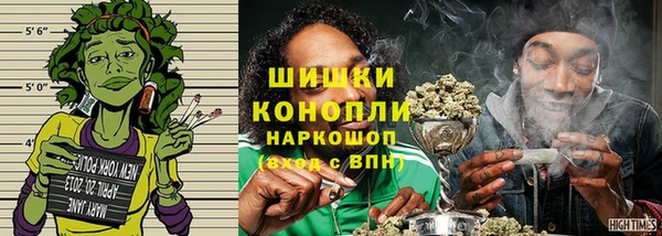 шишки Арсеньев