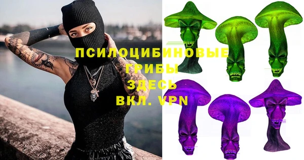 прущая мука Армянск