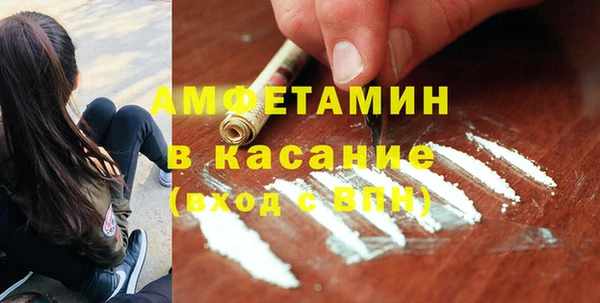 шишки Арсеньев