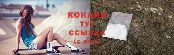 шишки Арсеньев