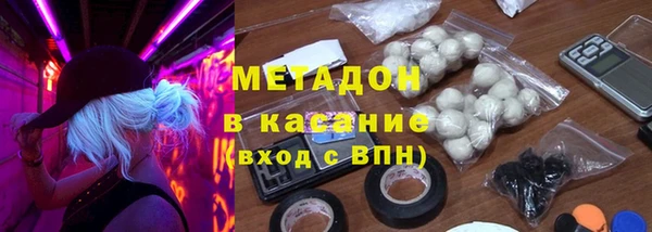 шишки Арсеньев