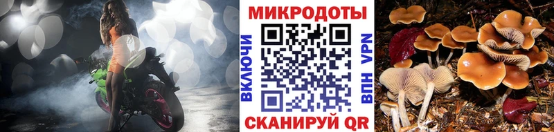 цены   Щигры  Галлюциногенные грибы MAGIC MUSHROOMS 